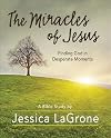 The Miracles of Jesus - Women's Bible Study Participant Workbook: Finding God in Desperate Moments
