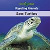 Sea Turtles (Migrating Animals)