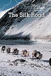 The Silk Road (Routes of Cross-Cultural Exchange)