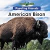 American Bison (Migrating Animals)