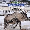 Reindeer (Migrating Animals)