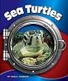 Sea Turtles (In the Deep Blue Sea)