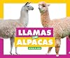 Llamas and Alpacas (Comparing Animal Differences)