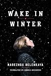 Wake in Winter