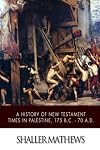 A History of New Testament Times in Palestine 175 BC - 70 AD Revised Edition