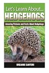 Hedgehogs: Amazing Pictures and Facts About Hedgehogs (Let's Learn About)