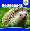 Hedgehogs (Our Weird Pets)