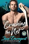Crashing the Net
