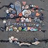 Beachcomber's ABC's
