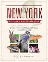 New York Wildlife Encyclopedia: An Illustrated Guide to Birds, Fish, Mammals, Reptiles, and Amphibians