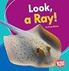 Look, a Ray!