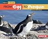 From Egg to Penguin (Start to Finish: Second Series)