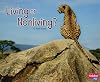 Living or Nonliving? (Life Science)