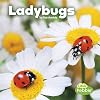Ladybugs (Ladybirds)