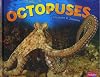 Octopuses (Pebble Plus: Sea Life)