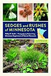 Sedges and Rushes of Minnesota: The Complete Guide to Species Identification