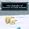 The Splendor of Mother & Child Animals: A Picture Book for Seniors, Adults with Alzheimer's and Others (Picture Books for Seniors, Alzheimer's ... Others; Level 1: A 'No Text' Book) (Volume 6)