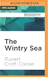 The Wintry Sea