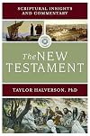 Scriptural Insights and Commentary: The New Testament