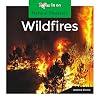 Wildfires (Natural Disasters)