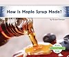 How Is Maple Syrup Made? (How Is It Made?)