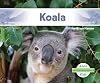 Koala (Australian Animals)