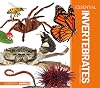 Essential Invertebrates (Essential Animals)