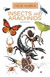 Insects and arachnids