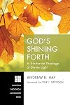 God's Shining Forth: A Trinitarian Theology of Divine Light (Princeton Theological Monographs)