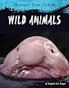 Wild Animals (Stranger Than Fiction)