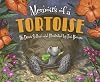 Memoirs of a Tortoise