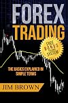 FOREX TRADING: The Basics Explained in Simple Terms (Forex, Forex for Beginners, Make Money Online, Currency Trading, Foreign Exchange, Trading Strategies, Day Trading)