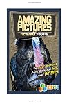 Amazing Pictures and Facts About Turkeys: The Most Amazing Fact Book for Kids About Turkeys