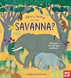 Who's Hiding on the Savanna?