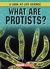 What are protists?