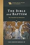 The Bible and Baptism: The Fountain of Salvation (A Catholic Biblical Theology of the Sacraments)