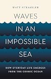 Waves in an Impossible Sea: How Everyday Life Emerges from the Cosmic Ocean