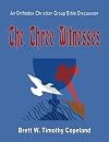 The Three Witnesses: An Orthodox Christian Group Bible Discussion (Orthodox Christian Group Bible Discussions) (Volume 1)