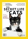 National Geographic Secret Life of Cats