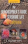 The Beachcomber's Guide to Seashore Life of California