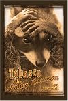 Tabasco the Saucy Raccoon