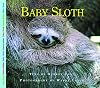 Baby Sloth (Nature Babies)