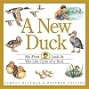 A New Duck: My First Look at the Life Cycle of a Bird