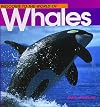Welcome to the World of Whales (Welcome to the World Series)