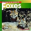 Welcome to the World of Foxes (Welcome to the World Series)