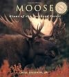 Moose: Giants of the Northern Forest
