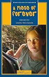 A Piece of Forever (Streetlights)