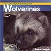 Welcome to the World of Wolverines (Welcome to the World Series)