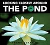 Looking Closely around the Pond