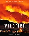 Wildfire